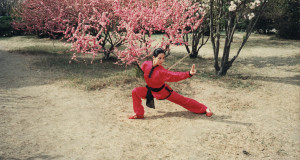 Xie Han en position gongbu à l'épée